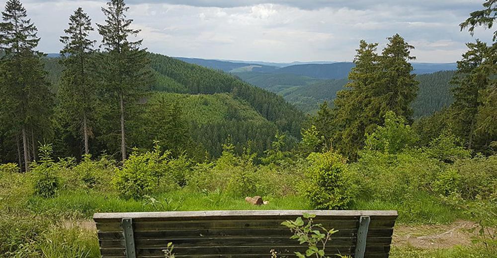 Ferienhaus Astenblick - Ideal Fuer Weihnachtsfeiern Und Familienfeiern Bietet Schlafplaetze Fuer Bis Zu 35 Personen Βίλα Βίντερμπεργκ Εξωτερικό φωτογραφία